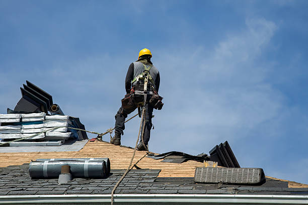 Professional Roof Replacement technician working in Dillard, OR